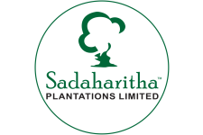 Logo for Sadaharitha Plantations Limited Logo for Sadaharitha Plantations Limited